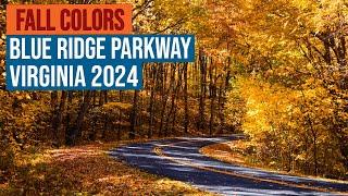 Fall Colors on the Blue Ridge Parkway in Virginia 2024