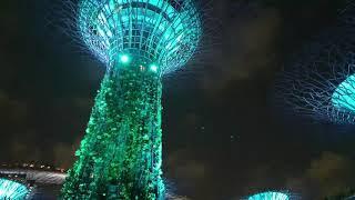 Gardens by the bay show