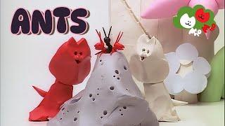 Mio Mao "ANTS"           #miomao #miomaolalala #stopmotion #stfrancisassisi