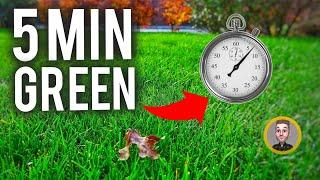 The Secret to a Deep Green Winter Lawn (In 5 Minutes)