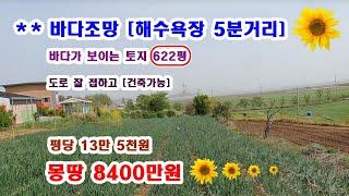 해수욕장 5분거리 바다가 보이는 땅 넓은면적 622평 몽땅 8400만원 아주 좋은 위치에 있습니다  --