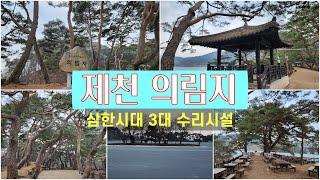 노송과 정자 & 호수가 잘 어울어진 제천 의림지의 겨울 풍경, Winter scenery of Uirimji, old pine trees, pavilions and lakes