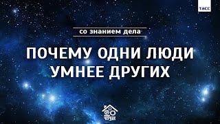 Почему одни люди умнее других