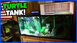 Setting Up A 55 Gallon TURTLE TANK!