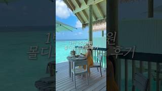 1박 250만원짜리 리조트 10초 미리보기 #shorts