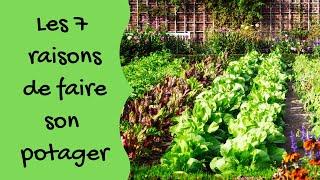 Les 7 raisons de faire son potager