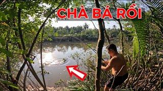 CÂU CÁ tra SÔNG | SÔNG NHỎ SAU NHÀ CÁ MÈ VINH VỚI CÁ TRA QUÁ NHIỀU