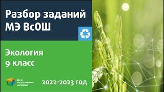 Разбор заданий МЭ ВсОШ по экологии 9 класс