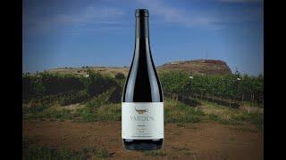 Yarden Pinot Noir 2017 and Ancient Synagogues of the Golan Heights