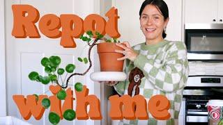 Let's repot houseplants! Plant Care Hang Out Vlog