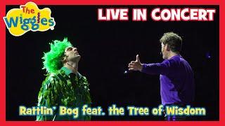 Rattlin' Bog feat. the Tree of Wisdom (Live in Concert) The Wiggles  Wiggly Big Day Out