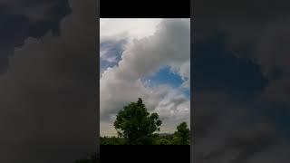 Lots of clouds, and a tree #timelapsevideos #timelapse #skytimelapse #skylapse #cloudlapse #sky