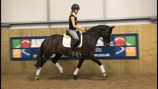 Our first Medium/ M63 British Dressage test // 67.8%