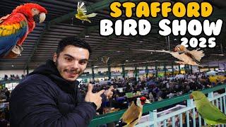 Stafford Spring Bird Show Experience MARCH 2025 | Lucas Ferraz #staffordbirdshow