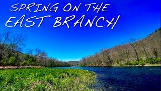 Fly Fishing the East Branch of the Delaware River