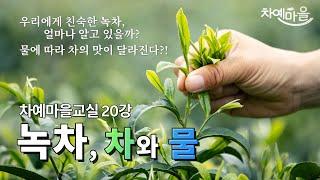 인류 최초의 차, 녹차의 분류부터 차와 물의 관계까지! ｜차예마을교실 20강