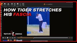 How Tiger Woods Stretches His Fascia In The Golf Swing For Effortless Power