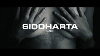 Siddharta - Mir (Official Video)