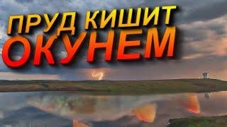 ОКУНИ МОНСТРЫ НА КАЖДОМ ЗАБРОСЕ! СПИННИНГ В ДУГУ СИЛИКОН В КЛОЧЬЯ! ЛОВЛЯ ОКУНЯ НА СПИННИНГ. РЫБАЛКА