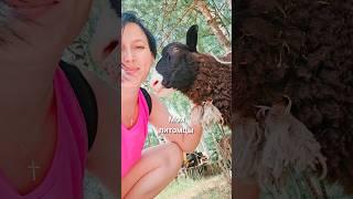 И у меня 6 детей  #топ #тикток #лето #люблю #прикол #трендытиктока #тиктокнутая #люблю #лето