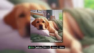 [Royalty Free LoFi Music] Grizzly Beatz - Sweet Memories (Sync License) LoFi Beats 2025