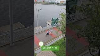 시간 있을때마다 #엄마랑 #산책 하기 “이런 #시간 #좋아요 ” #가족여행 #가족vlog | #김포