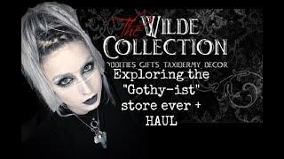 Ghost Stories, Taxidermy, and Oddities! Oh My! (WILDE COLLECTION.)