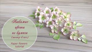 Любимые цветы из бумаги / Paper flowers tutorial