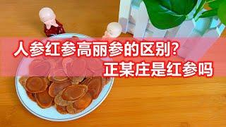 人参红参高丽参的区别？正某庄是红参吗