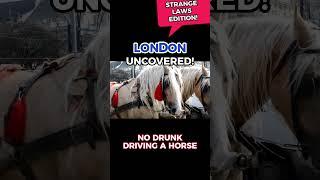 Explore London! - No Drunk-driving a Horse