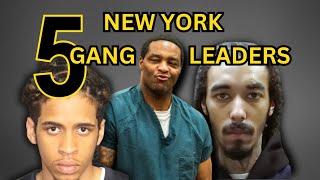 Gang Leaders of New York: True Crime Stories