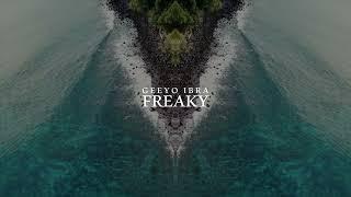 Geeyo Ibra - Freaky (Visualizer)