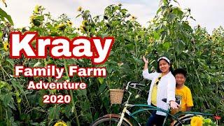 KRAAY FAMILY FARM l LACOMBE CORN MAZE l FAMILY ADVENTURE FARM FUN