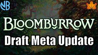 BLOOMBURROW DRAFT META UPDATE!!! Best Decks, Underrated Cards, and MORE!!!