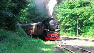 Dampfloks im Harz - HSB - Steam Trains - Züge