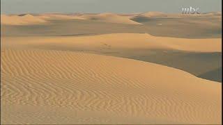 الملك المواطن.. فهد بن عبدالعزيز رحمه الله