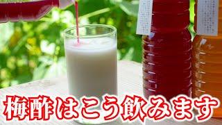 【梅酢ドリンク】梅酢オタクが全力で伝える飲み物レシピ３選！