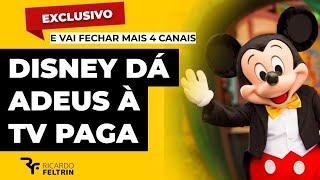 DISNEY CANSOU DO BRASIL E VAI EMBORA #ricardofeltrin