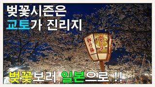 [일본 벚꽃여행 VLOG] 벚꽃 보고 싶으면 교토로 가야 되는 거 알지?