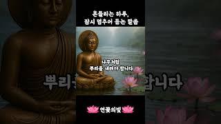 마음이 흔들릴 때, 부처님의 한마디