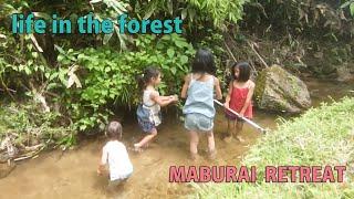 Self-Sufficiency, Forest Life, Rural Japan, Summer vegetable harvest,  Banana stem cooking, Ghibier,