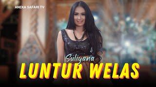 Karaoke - Luntur Welase - Suliyana (Official Video Karaoke ANEKA SAFARI)