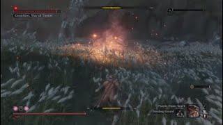 Sekiro secretest technique
