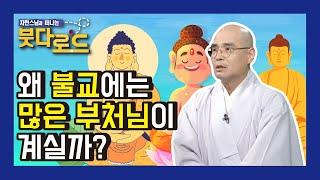 왜 불교에는 많은 부처님이 계실까? - 자현스님의 붓다로드 48회