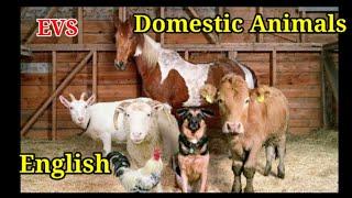 Domestic Animals Class 2 General Science-part 1 English