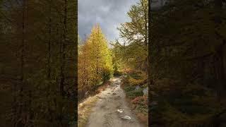 Autumn in Zermatt: Fall Colors & Alpine Magic 