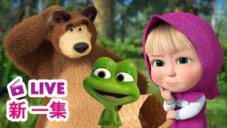  LIVE! 瑪莎與熊 -  新 一集 ‍ 莓果好難採  | Masha and The Bear