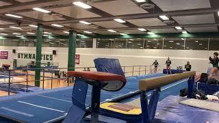 Haley Wade Vault 2021 Intrasquad Meet