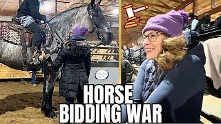 I Bid On 3 Horses At This Auction!!! Are We Bringing A New Horse Home?