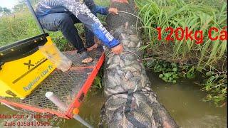 Fishing | Câu Đài | Tập 170 | Câu 120 Kg Cá Phi , Câu Cá Thịt Mà Như Hồ Đánh Giải | Nghiện Câu TV